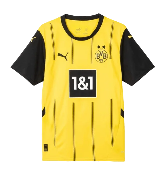 Borussia Dortmund 24/25 Home Jersey (77494601)