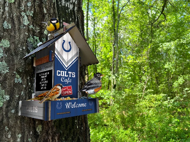 NFL2206-Bird Feeder / Lifestyle images / N2206-Indianapolis Colts